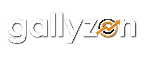 Gallyzon - SEO - Criador de sites - Marketing Digital - Loja Virtual - Dropshipping